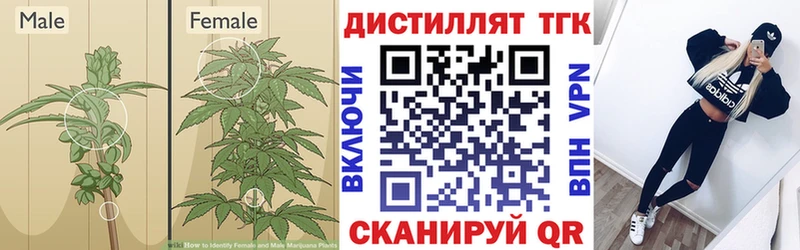 ТГК концентрат Новое Девяткино