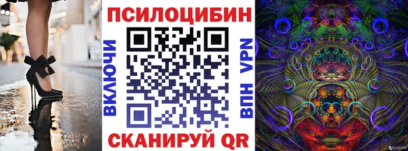 Псилоцибиновые грибы Psilocybe  продажа наркотиков  мега ССЫЛКА  Новое Девяткино 