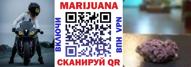 закладка  Новое Девяткино  Бошки Шишки ГИДРОПОН 